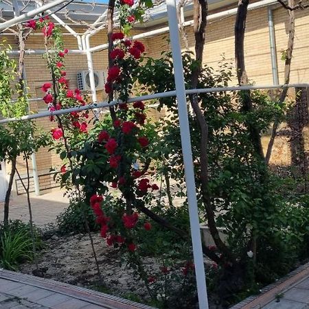 Hostel Muborak Samarkand Ngoại thất bức ảnh
