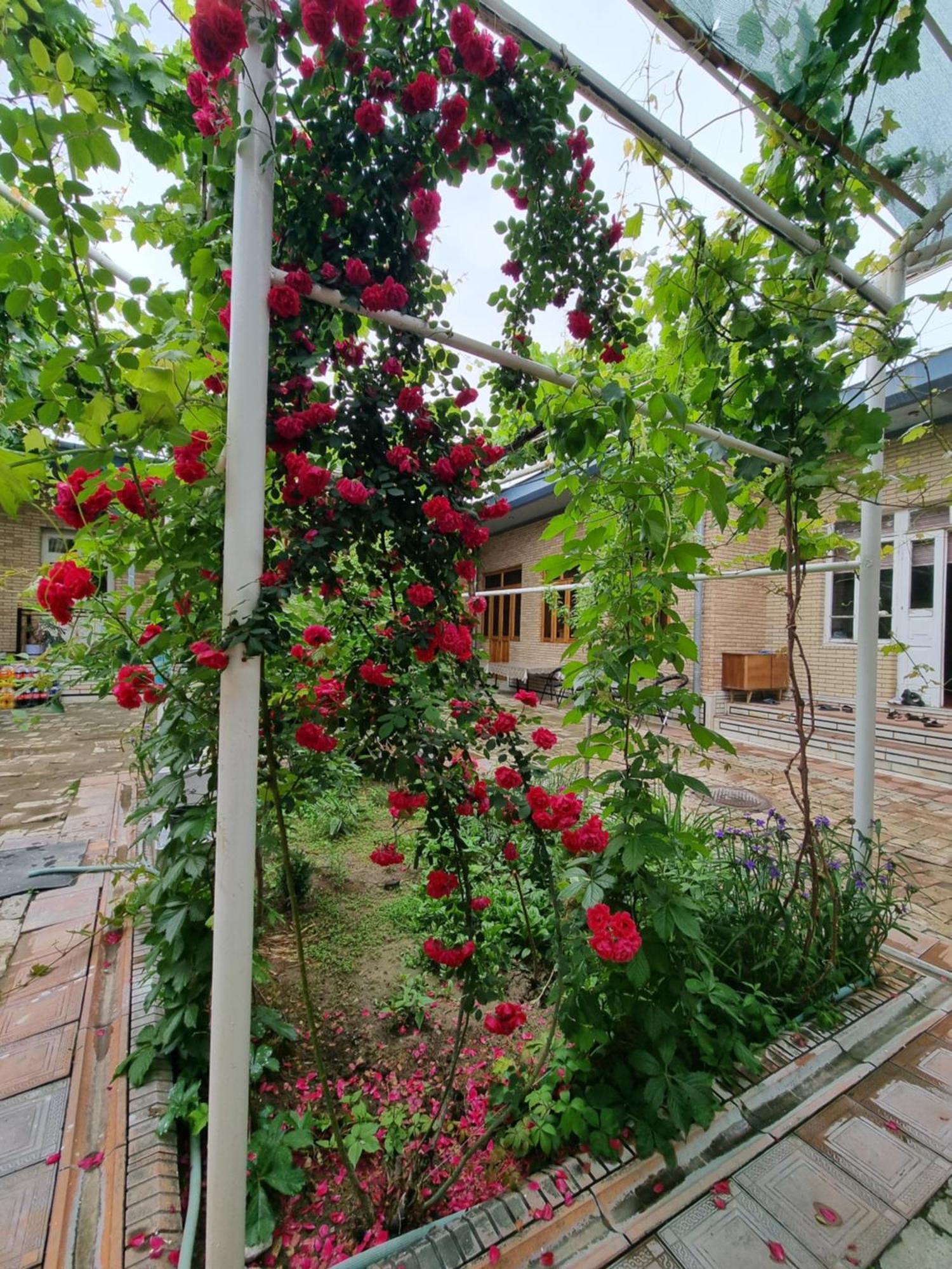 Hostel Muborak Samarkand Ngoại thất bức ảnh
